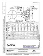 SAE AS 161