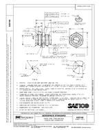 SAE AS3166