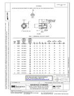 SAE AS3545