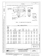 SAE AS4312