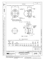 SAE AS 4694A