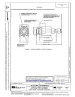 SAE AS24333B