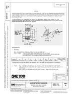 SAE AS 21154A