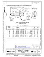 SAE AS4318A