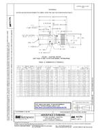 SAE AS5791