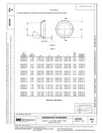 SAE AS3484B