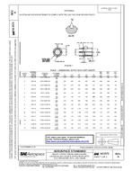 SAE AS3573A