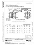 SAE AS21900C