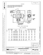 SAE AS21906C