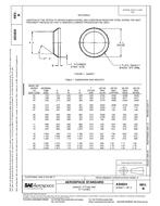 SAE AS4824B