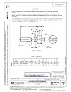 SAE AS17184B