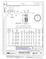 SAE AS4300B