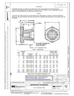 SAE AS21913D