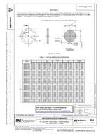 SAE AS29513A