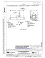 SAE AS 6047