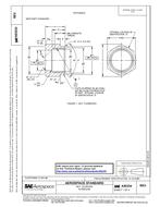 SAE AS5234