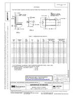 SAE AS21241