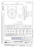 SAE AS20218A