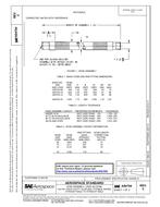 SAE AS4704C