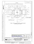 SAE AS6123