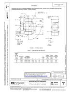 SAE AS100B