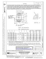 SAE AS21155B