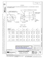 SAE AS125701B