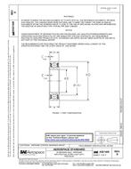 SAE AS21428D