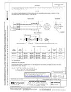 SAE AS81824/10