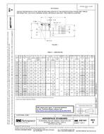 SAE AS21441B