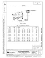 SAE AS150171B