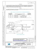 SAE AS22520/21