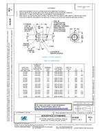 SAE AS4228C