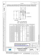 SAE AS24461C