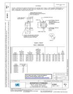 SAE AS3651A