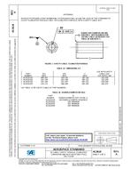 SAE AS3618A