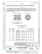 SAE AS21902D