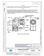 SAE AS21904D